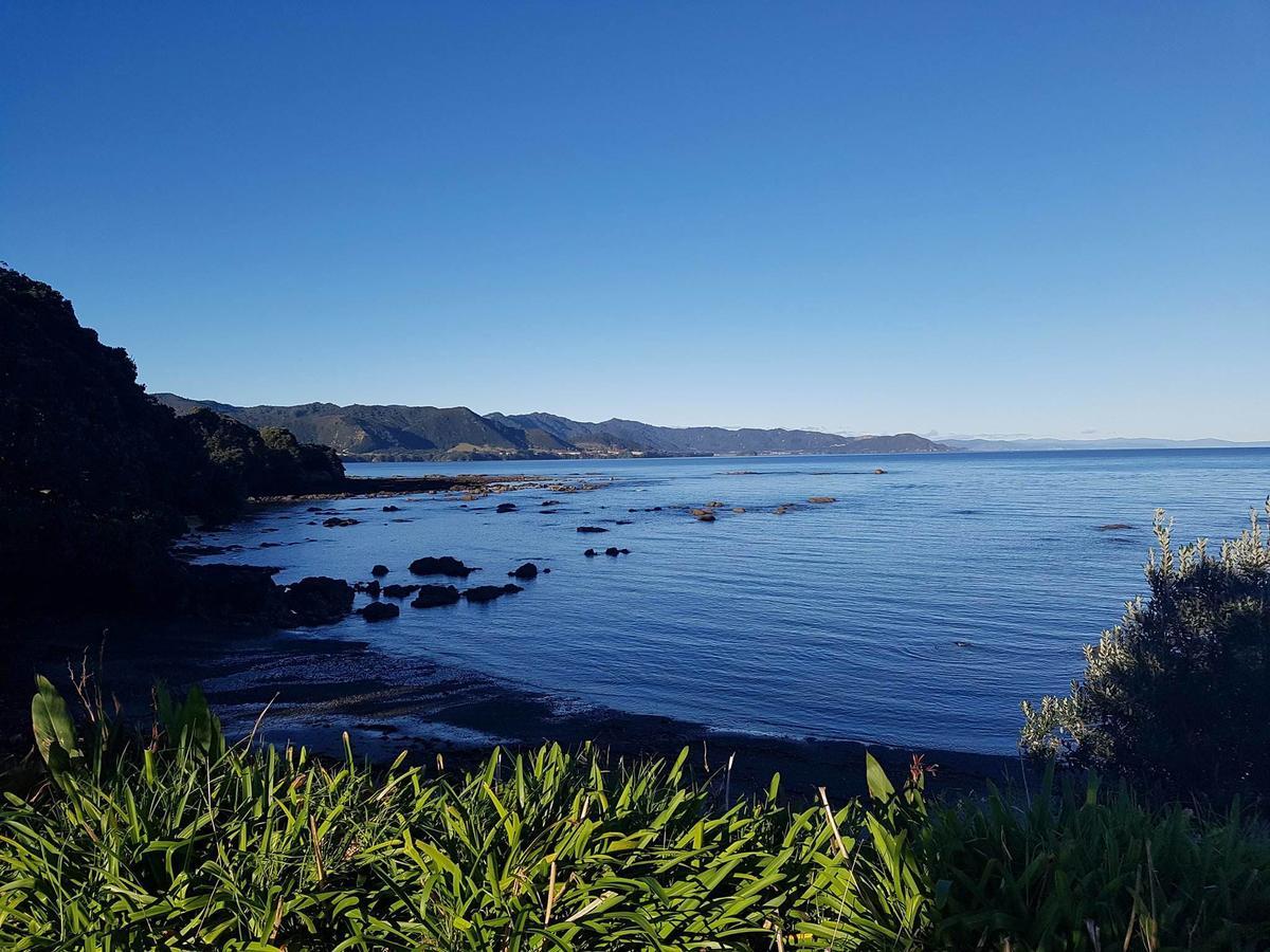 Te Kaha Beach Hotel Exterior photo